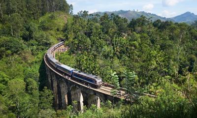 Highlands Of Ceylon